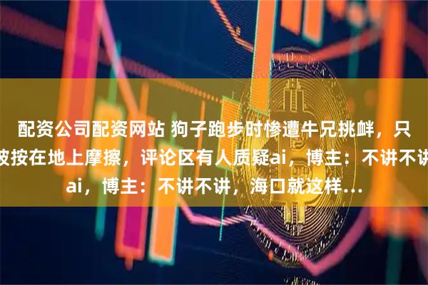 配资公司配资网站 狗子跑步时惨遭牛兄挑衅，只轻轻发力狗子就被按在地上摩擦，评论区有人质疑ai，博主：不讲不讲，海口就这样…
